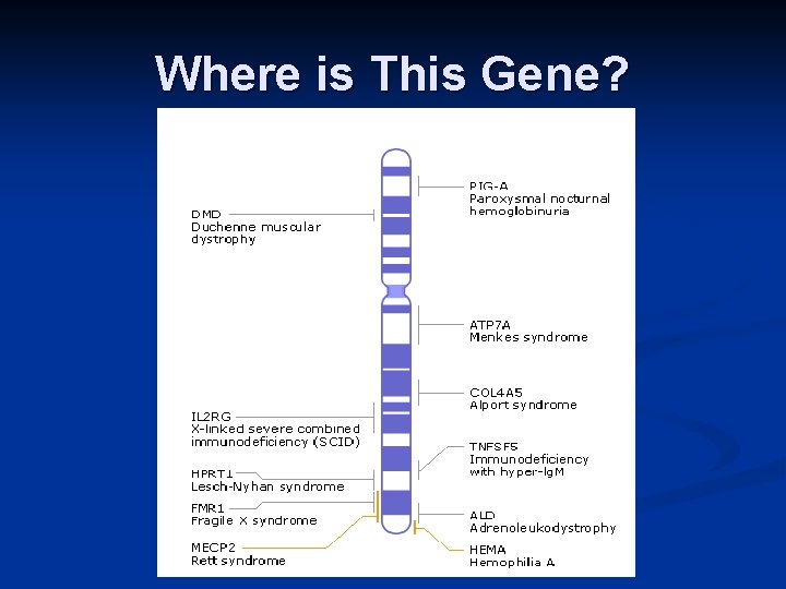 Where is This Gene? 