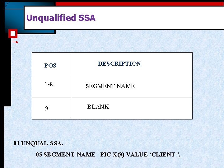 Unqualified SSA . POS 1 -8 9 DESCRIPTION SEGMENT NAME BLANK 01 UNQUAL-SSA. 05