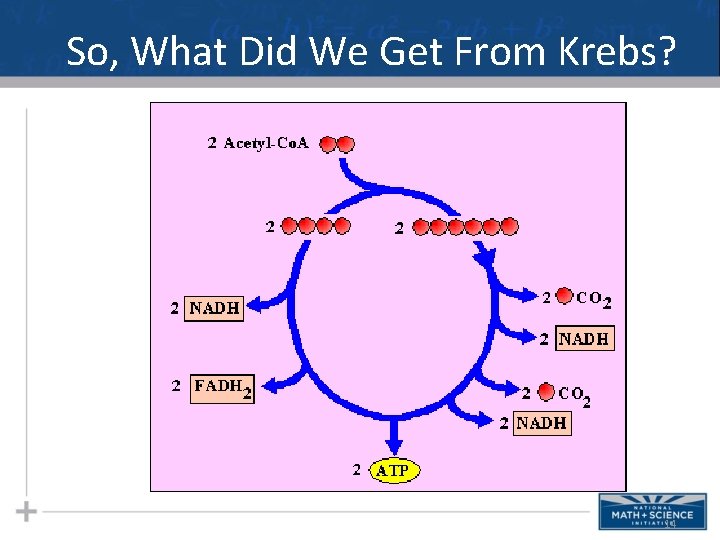 So, What Did We Get From Krebs? 14  So, What Did We Get From Krebs? 14