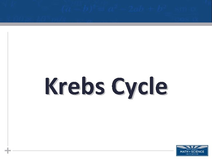 Citric Acid Cycle Krebs Cycle (Krebs Cycle)  Citric Acid Cycle Krebs Cycle (Krebs Cycle)