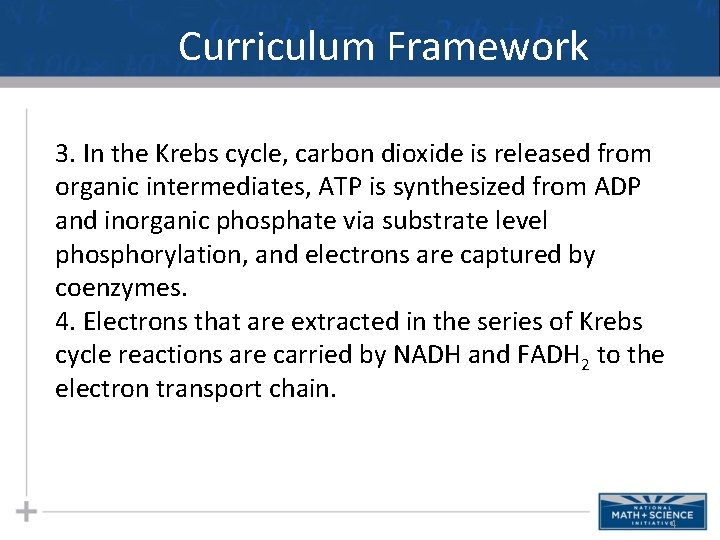 Curriculum Framework 3. In the Krebs cycle, carbon dioxide is released from organic intermediates, Curriculum Framework 3. In the Krebs cycle, carbon dioxide is released from organic intermediates,