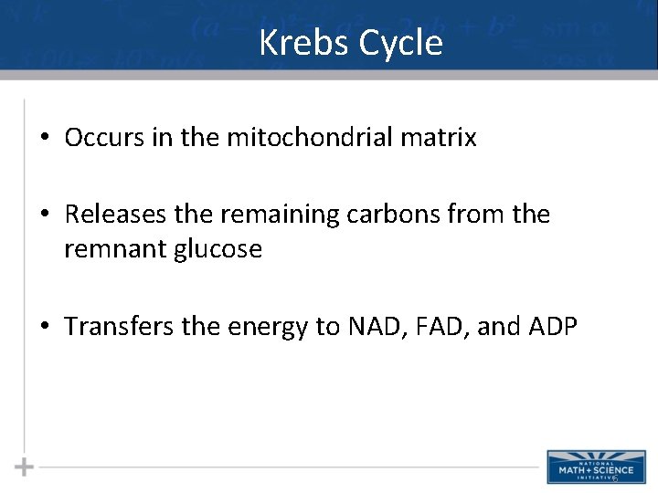 Krebs Cycle • Occurs in the mitochondrial matrix • Releases the remaining carbons from Krebs Cycle • Occurs in the mitochondrial matrix • Releases the remaining carbons from