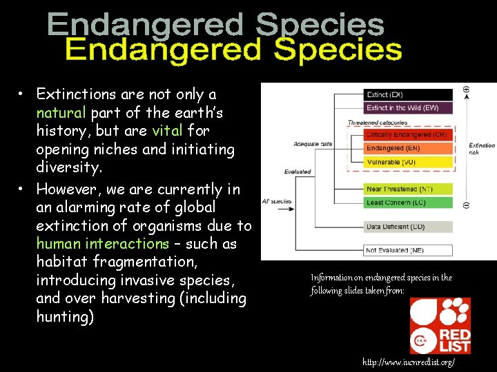  • Extinctions are not only a natural part of the earth’s history, but