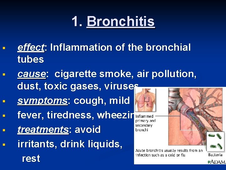 1. Bronchitis § § § effect: Inflammation of the bronchial tubes cause: cigarette smoke,