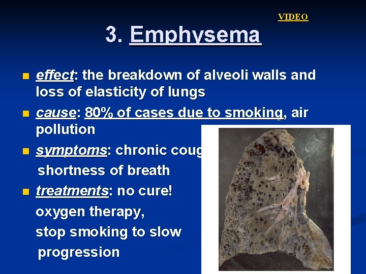 VIDEO 3. Emphysema n n effect: the breakdown of alveoli walls and loss of