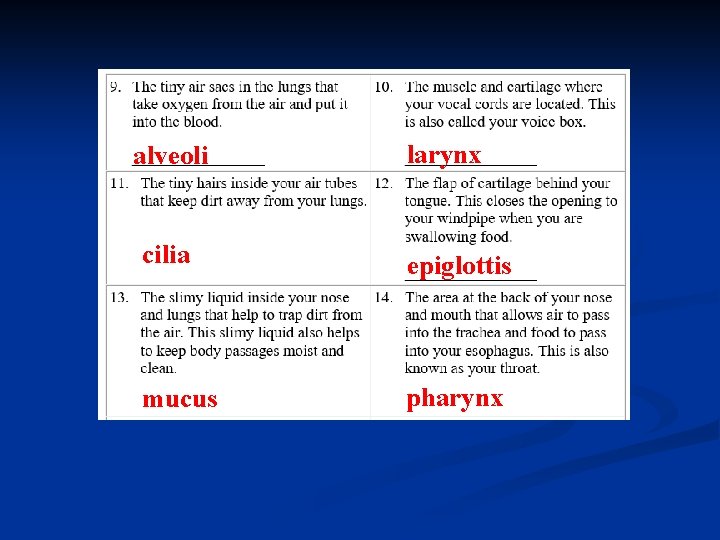 alveoli larynx cilia epiglottis mucus pharynx 