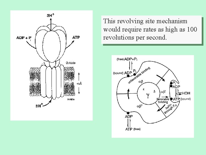 This revolving site mechanism would require rates as high as 100 revolutions per second.