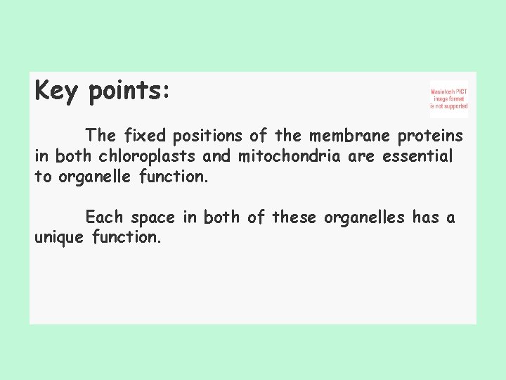 Key points: The fixed positions of the membrane proteins in both chloroplasts and mitochondria