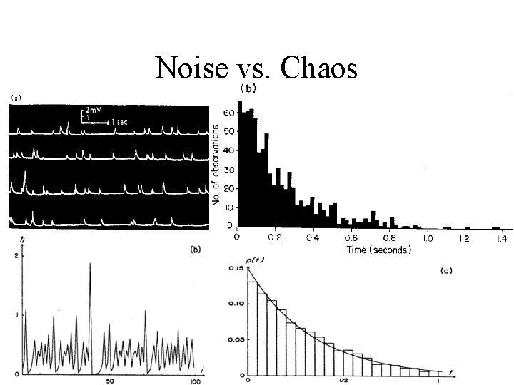 Noise vs. Chaos 