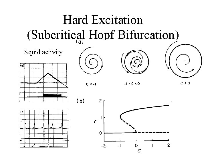 Hard Excitation (Subcritical Hopf Bifurcation) Squid activity 