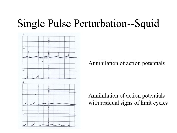 Single Pulse Perturbation--Squid Annihilation of action potentials with residual signs of limit cycles 