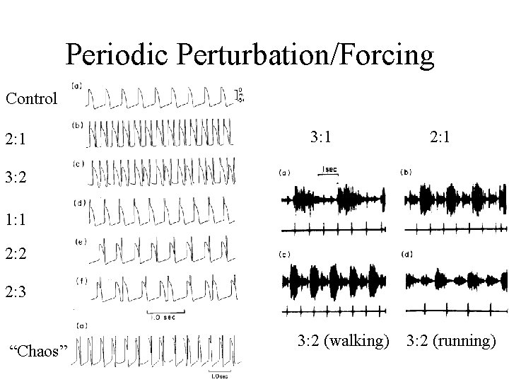 Periodic Perturbation/Forcing Control 2: 1 3: 1 2: 1 3: 2 1: 1 2: