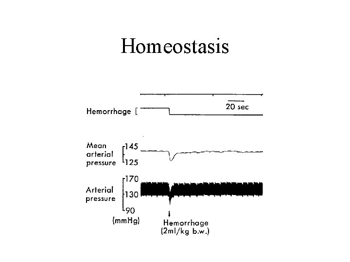 Homeostasis 