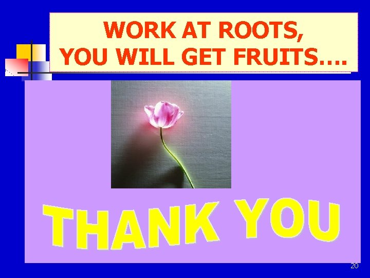 WORK AT ROOTS, YOU WILL GET FRUITS…. 20 
