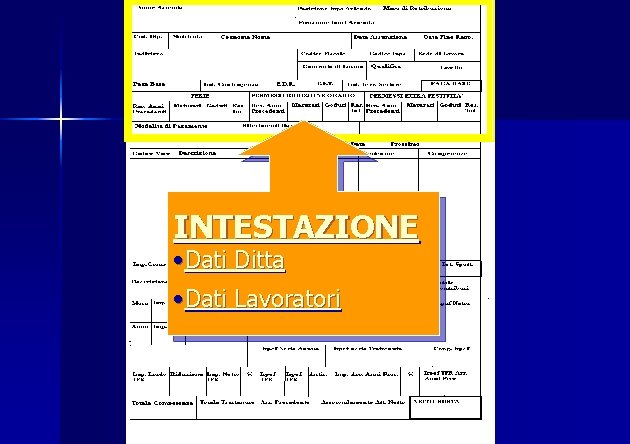 INTESTAZIONE • Dati Ditta • Dati Lavoratori 