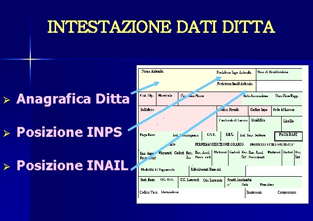 INTESTAZIONE DATI DITTA Ø Anagrafica Ditta Ø Posizione INPS Ø Posizione INAIL 