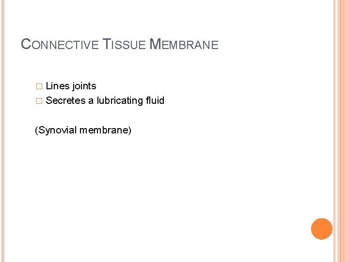 CONNECTIVE TISSUE MEMBRANE � Lines joints � Secretes a lubricating fluid (Synovial membrane) 