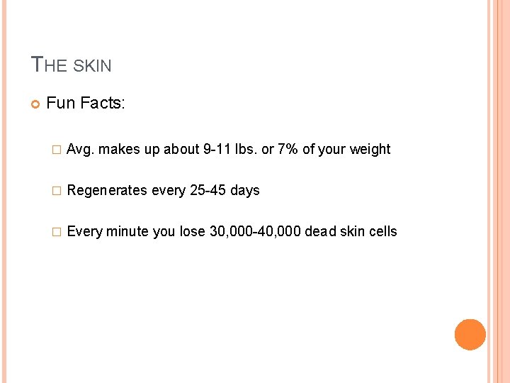 THE SKIN Fun Facts: � Avg. makes up about 9 -11 lbs. or 7%