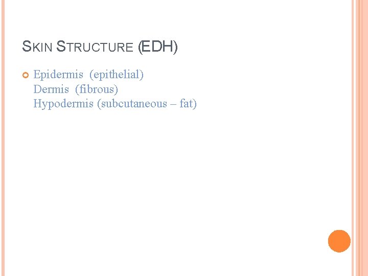 SKIN STRUCTURE (EDH) Epidermis (epithelial) Dermis (fibrous) Hypodermis (subcutaneous – fat) 