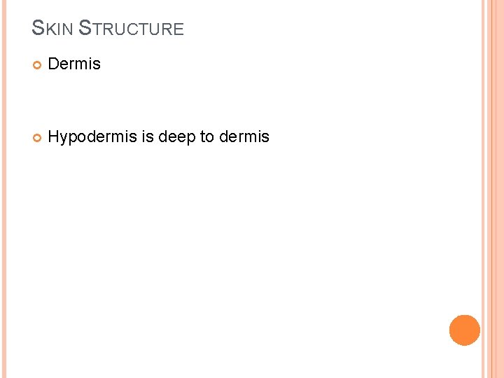 SKIN STRUCTURE Dermis Hypodermis is deep to dermis 
