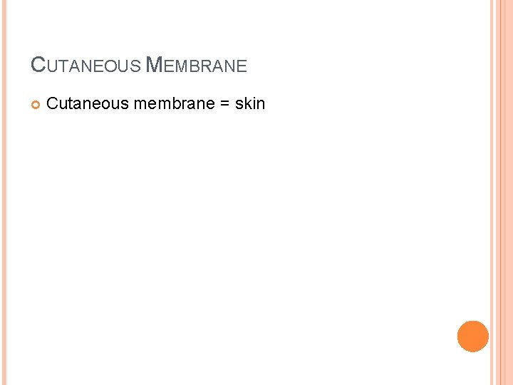 CUTANEOUS MEMBRANE Cutaneous membrane = skin 