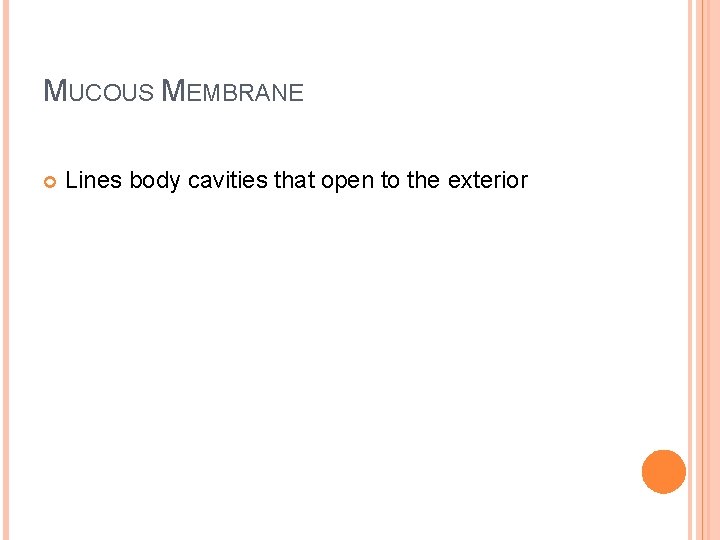 MUCOUS MEMBRANE Lines body cavities that open to the exterior 