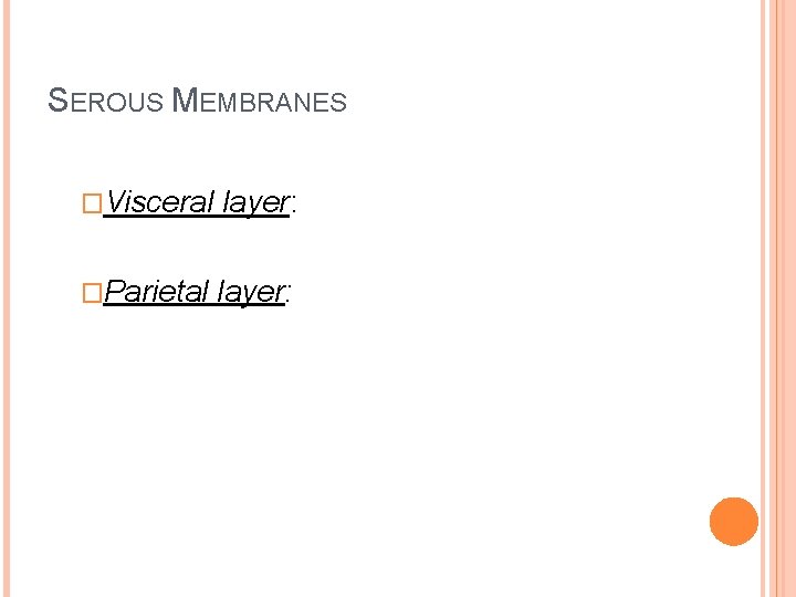 SEROUS MEMBRANES �Visceral layer: �Parietal layer: 