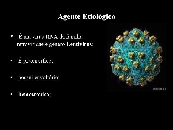 Agente Etiológico • É um vírus RNA da família retroviridae e gênero Lentivírus; •