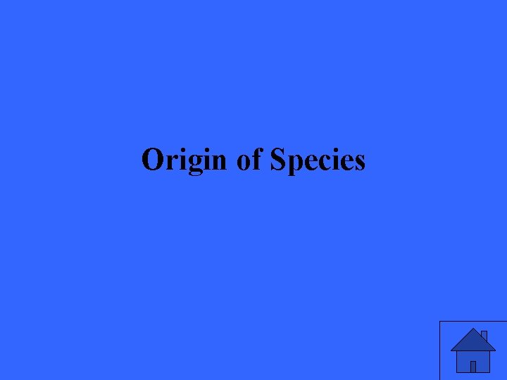 Origin of Species 