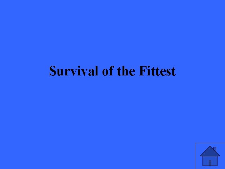 Survival of the Fittest 