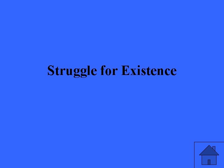 Struggle for Existence 