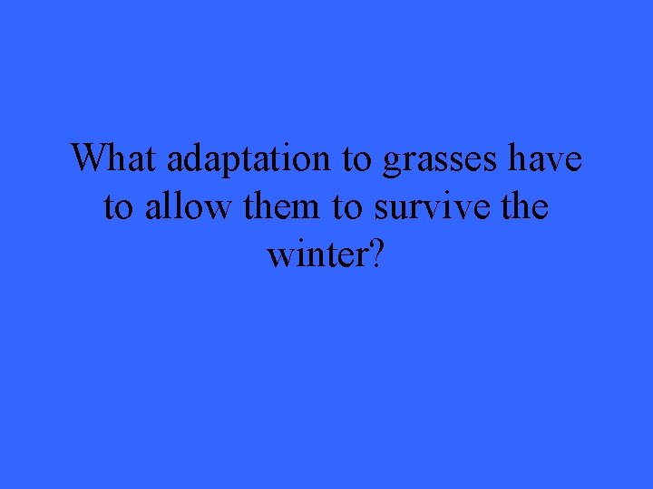 What adaptation to grasses have to allow them to survive the winter? 