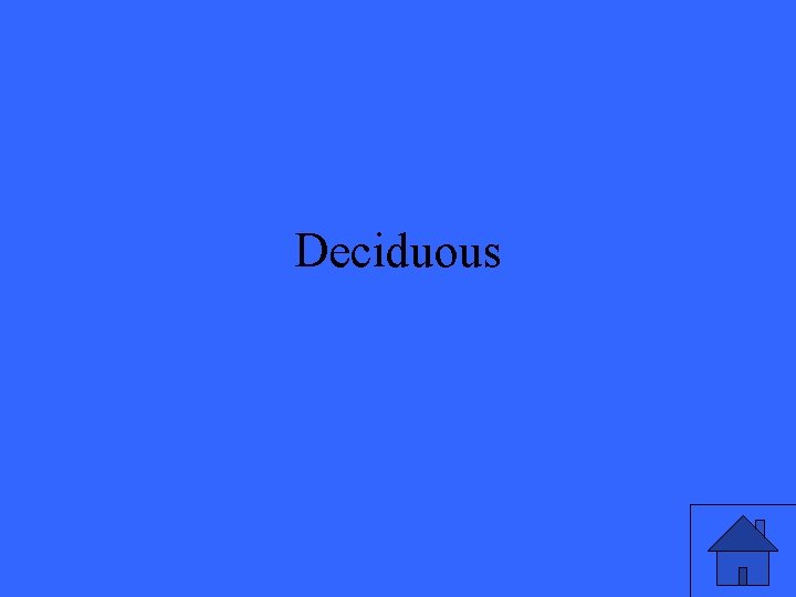 Deciduous 