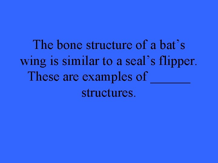 The bone structure of a bat’s wing is similar to a seal’s flipper. These