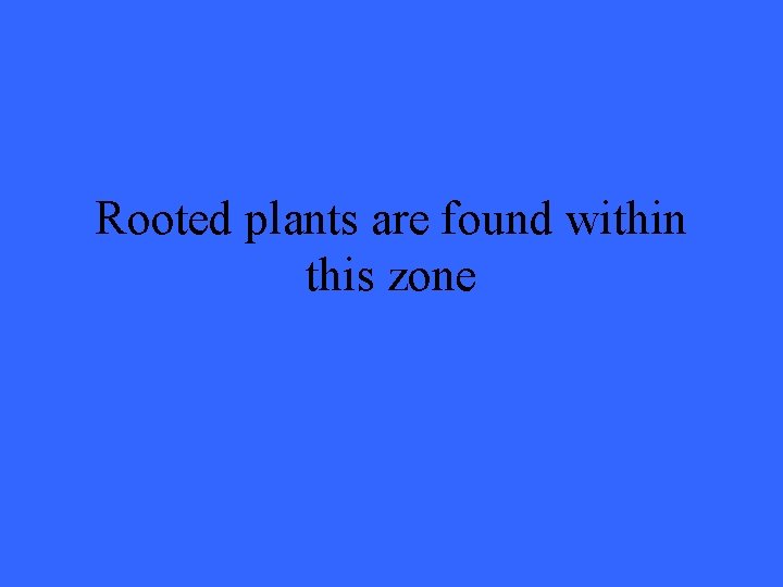 Rooted plants are found within this zone 