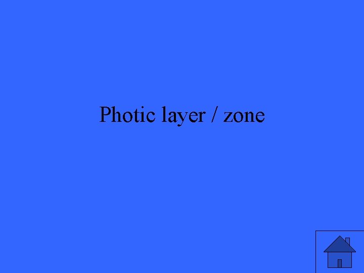 Photic layer / zone 