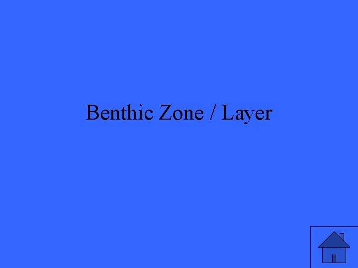 Benthic Zone / Layer 