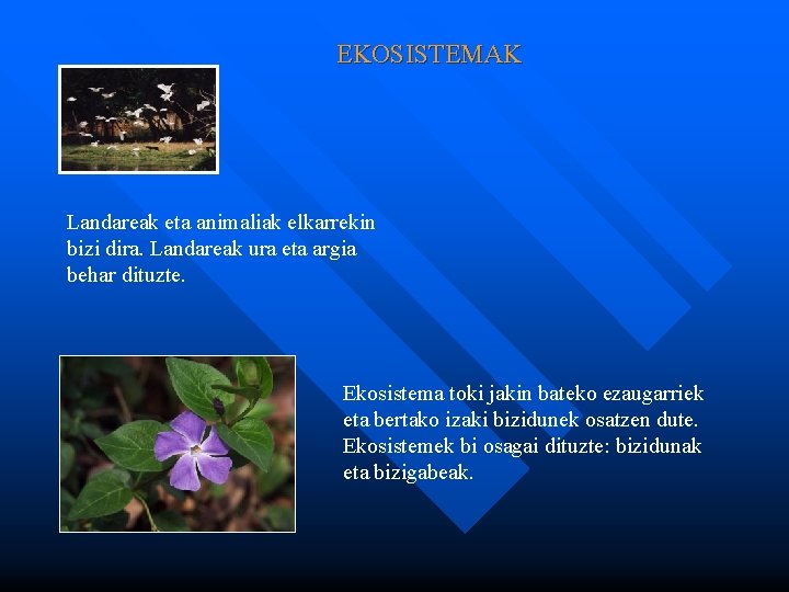 EKOSISTEMAK Landareak eta animaliak elkarrekin bizi dira. Landareak ura eta argia behar dituzte. Ekosistema