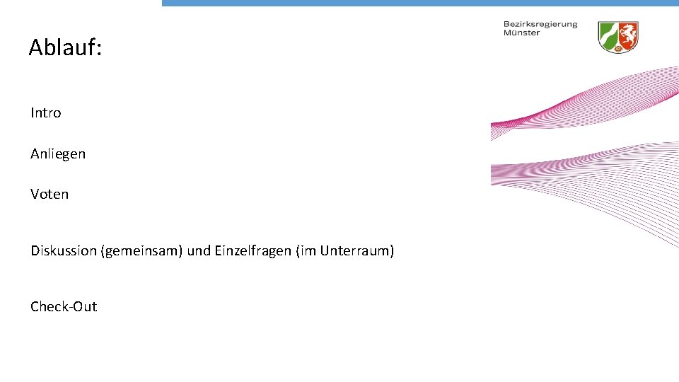 Ablauf: Intro Anliegen Voten Diskussion (gemeinsam) und Einzelfragen (im Unterraum) Check-Out 