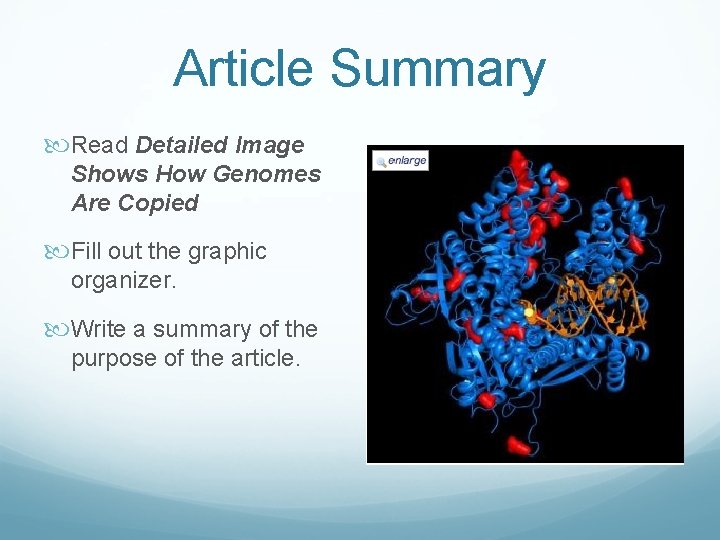 Article Summary Read Detailed Image Shows How Genomes Are Copied Fill out the graphic
