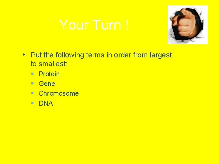 Your Turn ! • Put the following terms in order from largest to smallest: