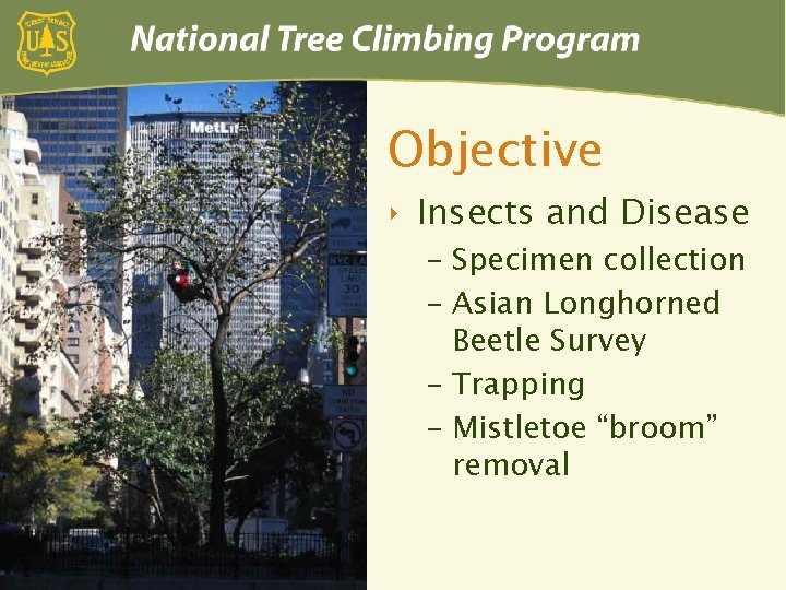 Objective ‣ Insects and Disease – Specimen collection – Asian Longhorned Beetle Survey –
