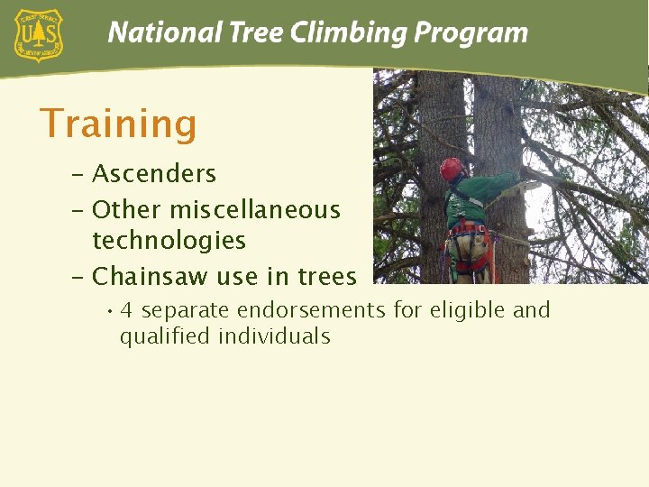 Training – Ascenders – Other miscellaneous technologies – Chainsaw use in trees • 4