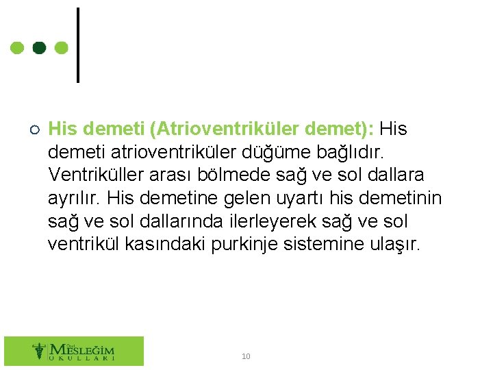 ○ His demeti (Atrioventriküler demet): His demeti atrioventriküler düğüme bağlıdır. Ventriküller arası bölmede sağ