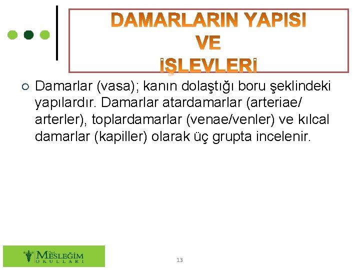 ○ Damarlar (vasa); kanın dolaştığı boru şeklindeki yapılardır. Damarlar atardamarlar (arteriae/ arterler), toplardamarlar (venae/venler)