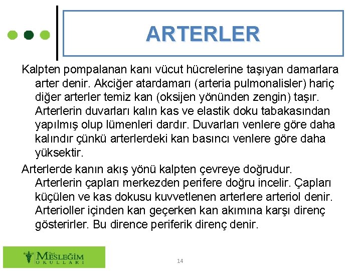 ARTERLER Kalpten pompalanan kanı vücut hücrelerine taşıyan damarlara arter denir. Akciğer atardamarı (arteria pulmonalisler)