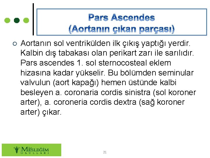 ○ Aortanın sol ventrikülden ilk çıkış yaptığı yerdir. Kalbin dış tabakası olan perikart zarı