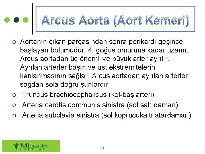 Arcus Aorta (Aort Kemeri) ○ Aortanın çıkan parçasından sonra perikardı geçince başlayan bölümüdür. 4.