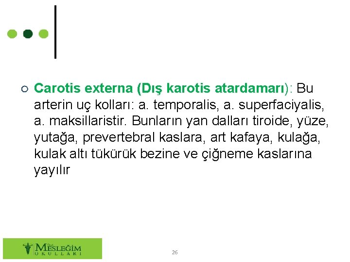 ○ Carotis externa (Dış karotis atardamarı): Bu arterin uç kolları: a. temporalis, a. superfaciyalis,