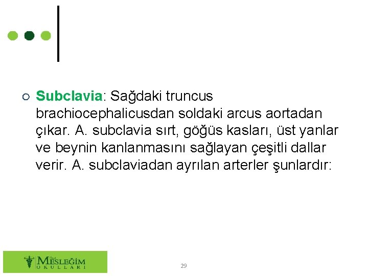 ○ Subclavia: Subclavia Sağdaki truncus brachiocephalicusdan soldaki arcus aortadan çıkar. A. subclavia sırt, göğüs